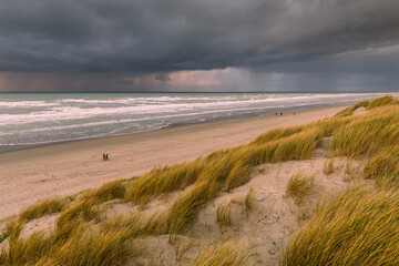 Plage de Picardie entre Fort-Mahon et Quend-Plage - Vue aérienne