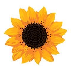 Doodle sketch sunflower. Sunflower flower element for design.