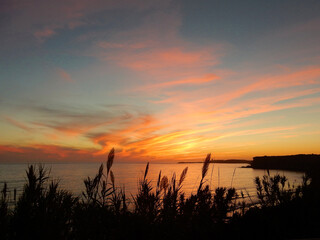 Obraz premium andalusien