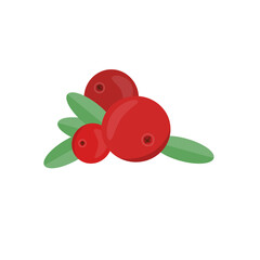 red currant with leaves on white