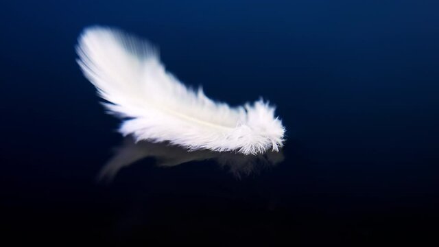 A white fluffy feather floats slowly on the water on a blue background. 4k macro slow motion video.