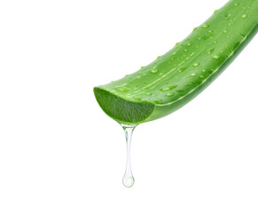 Aloe vera cutting leaf with aloe latex and water droplets isolated on white background.
