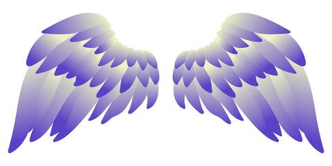 Beautiful bright magic angel wings, color vector illustration