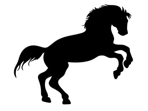 Horse silhouette. The horse is jumping. Isolated illustration of a horse.