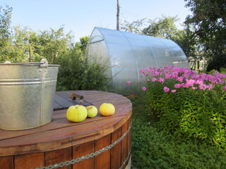 There is a bucket of water on the lid of the well in the garden. Next to the bucket are green and...