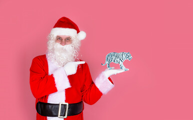 Santa Claus holds a blue tiger figurine in the palm of his hand, the symbol of 2022. Isolate on a pink background