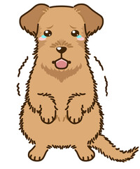 おびえるアイリッシュテリア