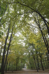 Urban park in an autumn day