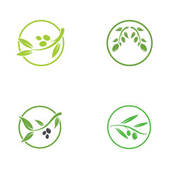 olive icon vector illustration design template