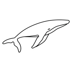 Obraz premium Humpback whale minimalist simple outline vector logo illustration. Isolated contour whale drawing on white background