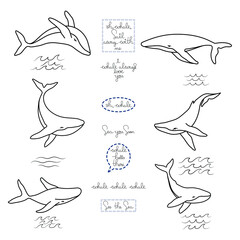 Set of six humpback whales handdrawn lettering phrases and minimalist simple various waves outline vector logo illustration. Isolated contour whale drawing on white background