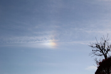 大空の虹色の雲と木のある丘のシルエット