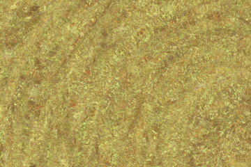 wheat field background