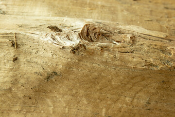 Wood Texture