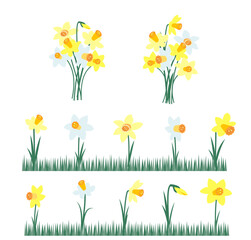 Yellow and white narcissus. Spring flowers set. Bouquet of daffodils. Vector