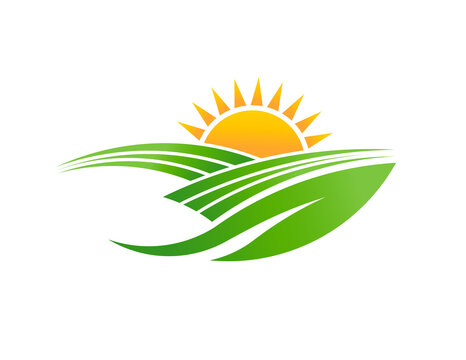 Sunnny Filelds leaf design logo illustration