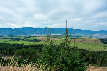 przygoda © RASSUMSEN
