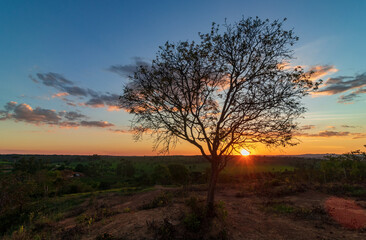 Fototapeta na wymiar Pôr do sol sobre uma montanha com céu colorido e uma árvore em destaque em Minas Gerais, Brasil.