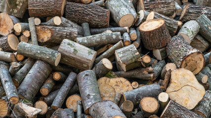 heap of firewoods or cut tree log for burning