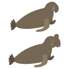 Beautiful cartoon illustration with colorful sea elephant with two kind of head on white background for print design. Kid graphic. Sea underwater life. Vector isolated hand drawing.