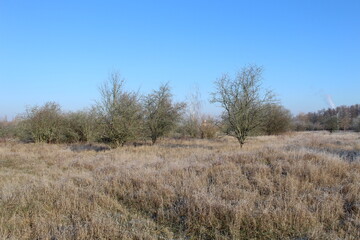 Natur
