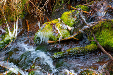 Icy bed of a small stream in the forest.