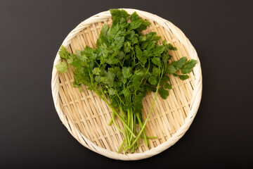 チャービル(セルフィーュ)　イタリアンパセリ