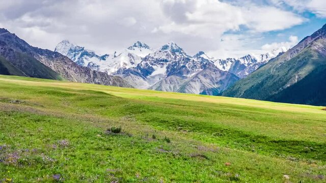 Aerial view of green grassland and snow mountains landscape in Xinjiang, China.