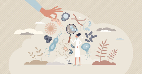 Bacteriology as biology branch with bacteria research tiny person concept. Scientific microbiology study with microorganisms growth and analysis vector illustration. Medicine scientist in laboratory. - obrazy, fototapety, plakaty
