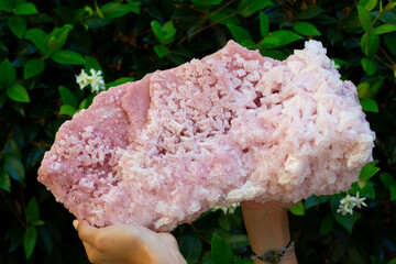 .halite mineral specimen stone rock geology gem crystal