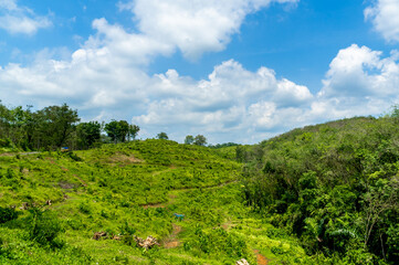 Green natural landscape with blue sky and sunny cloudy