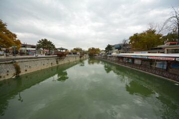 lake and trees in autumn