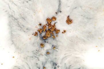 Treasury of art. Swirls of marble. Abstract fantasia with golden powder. Extra special and luxurious- ORIENTAL ART. Ripples of agate. Natural luxury.