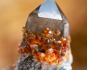 garnet mineral specimen stone rock geology gem crystal