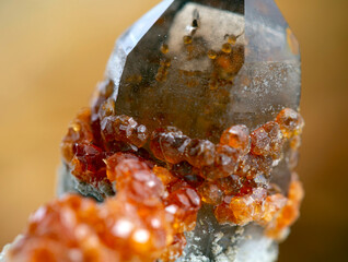 garnet mineral specimen stone rock geology gem crystal