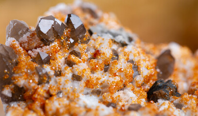 garnet mineral specimen stone rock geology gem crystal