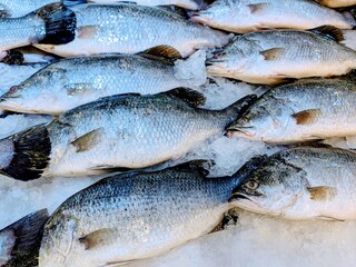 Close -up photos of Lates calcarifer fish found on wet market sales shelves