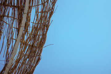 branches against sky