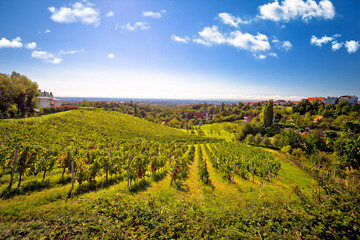 Fototapeta na wymiar Zagreb green zone. Church and vineyard on green hill above croatian capital Zagreb