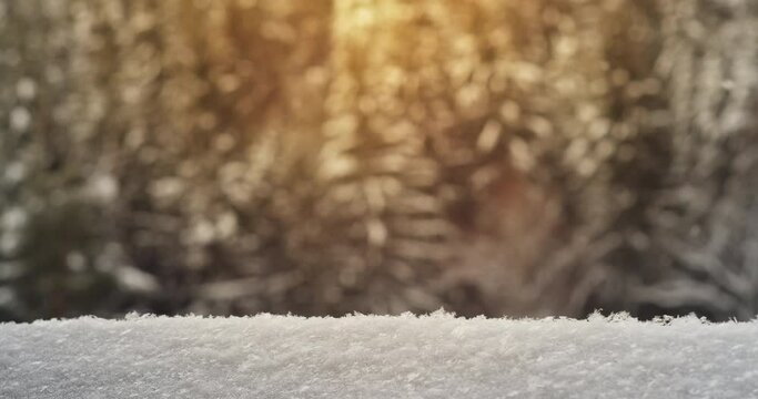 Falling snow against fir forest with sun leak - winter background