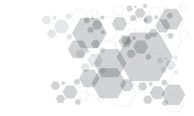 Abstract grey hexagon polygon on white design modern futuristic background vector