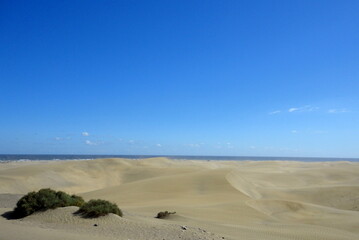 The great desert Dunas de Maspalomas in Gran Canary