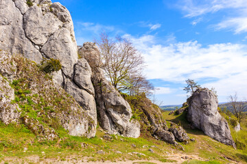 Beautiful lime rocks formation near Rzedkowice village in Polish Jurassic Highland on sunny spring day, Poland