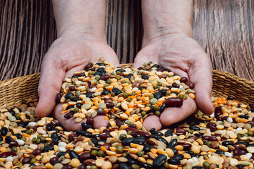 Hands full of fresh legumes. Different cereals and legumes. Mixed dried legumes and cereals.