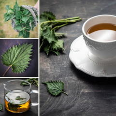 Tea made from fresh nettle leaves. Collage of four images. Mood board. Social media template with copy space.