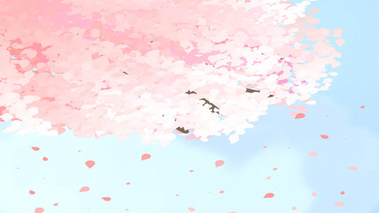 blossom spring tree pink background wallpaper