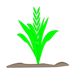 design illustration of a plant with some various design concept