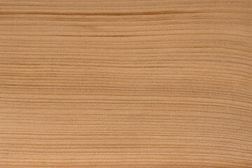 wood texture - cedar of lebanon