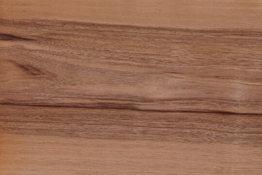 wood texture - European walnut