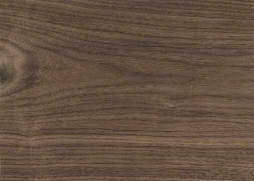 wood texture - American walnut Canaletto